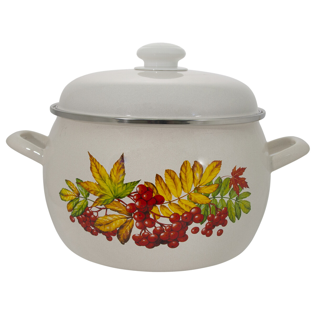 Кастрюля 5,0л Рябина